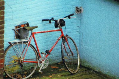 Backyard bike